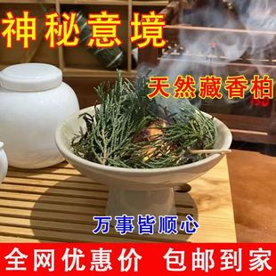 正宗西藏藏香柏枝叶藏地树枝天然香柏叶供火柏香枝新鲜采摘煨桑烟