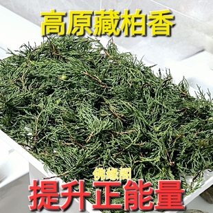 藏柏香煨桑烟供火供新鲜柏香枝叶香薰料天然藏香浓香型净化空间