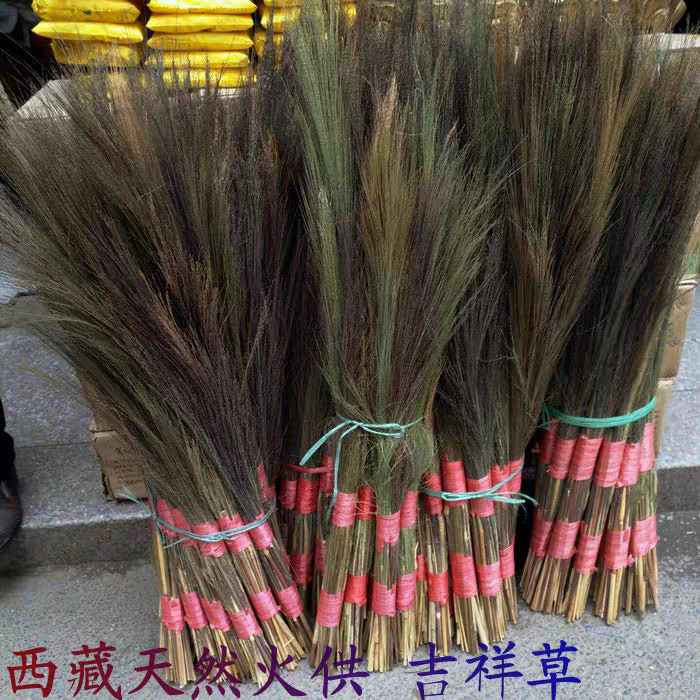 藏地吉祥草 火供草康巴 吉祥草 火供仪轨吉祥草 一把半斤左右