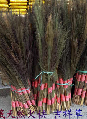 藏地吉祥草 火供草康巴 吉祥草 火供仪轨吉祥草 一把半斤左右