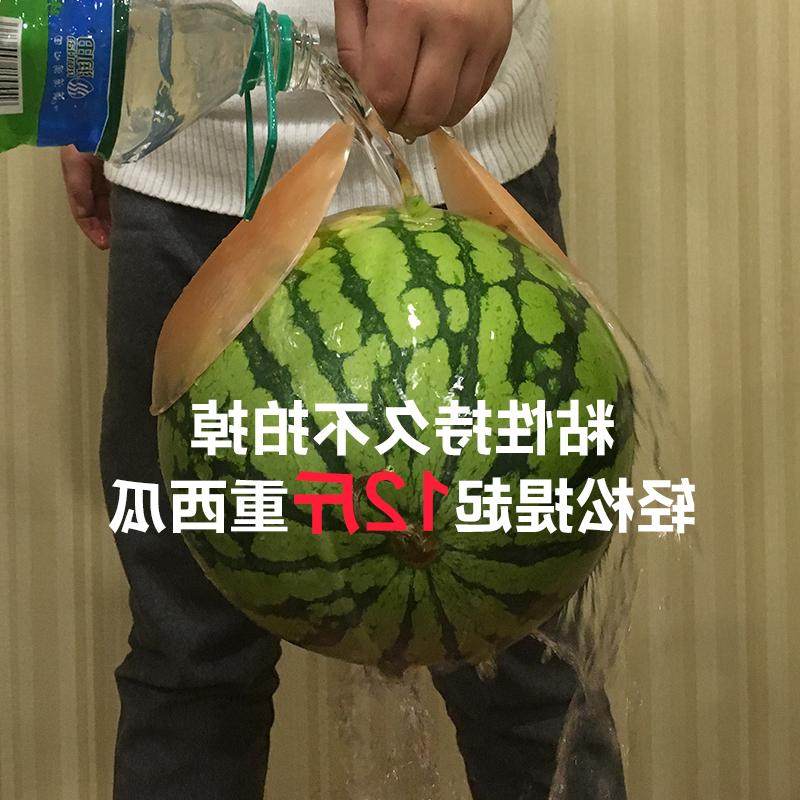 Soutien-gorge discret jeunes femmes R-0011 - Ref 786310 Image 4