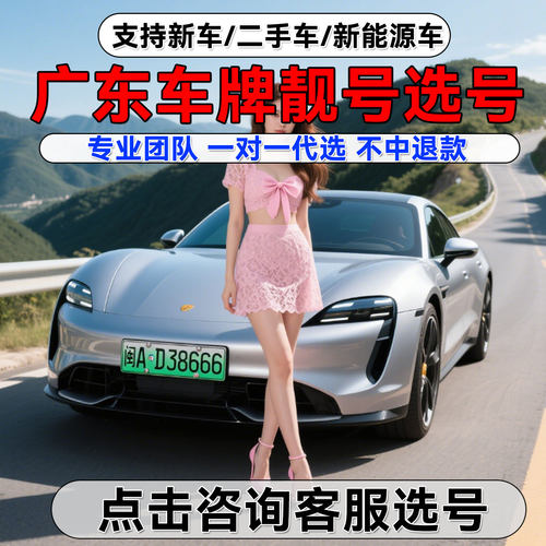 广东新能源汽车二手油车自选数据库查询新车选牌888车牌靓号选号