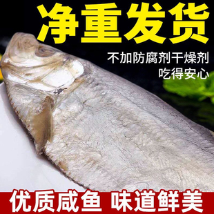 咸白鳞鱼500g白鳓鱼半干咸鱼海产干货曹白鱼白力鱼干风干海鱼