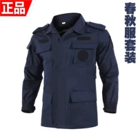 Тибетский синий [весна и осенний набор]