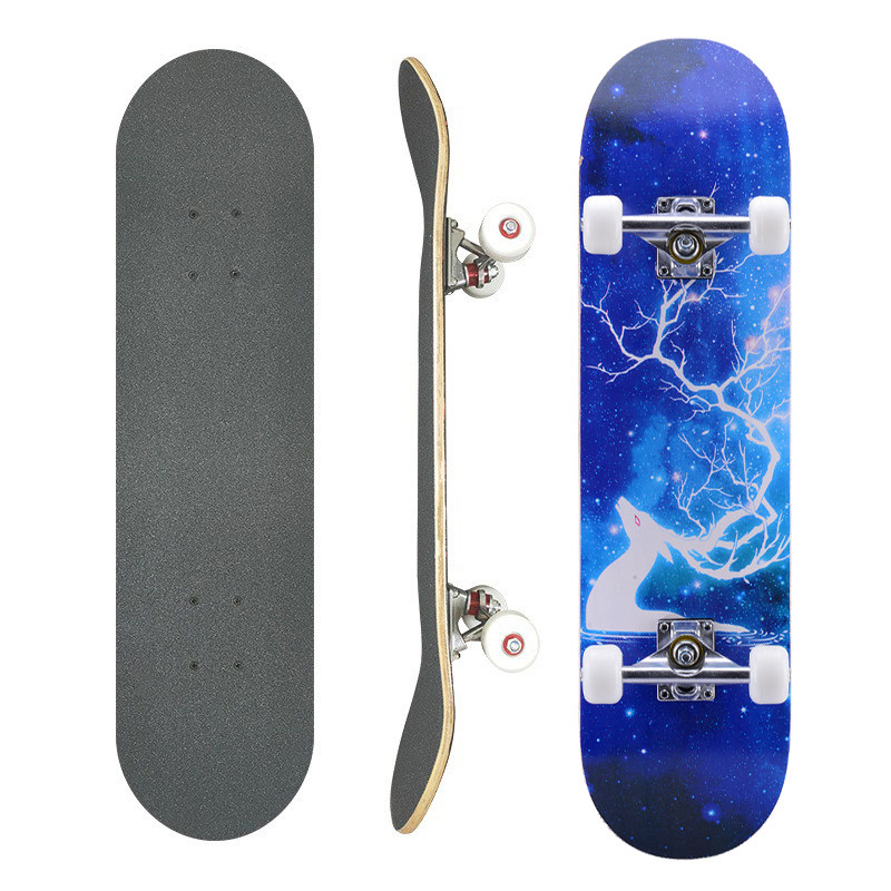 滑板初学者青少年专业小学生新款儿童专用双翘滑板女生初学者成人