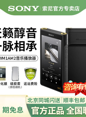 Sony/索尼 NW-WM1AM2 黑砖二代高解析度音乐播放器MP3/4无损HIFI