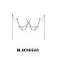 BLACKHEAD 独特 黑头立体飞鸽面饰夸张造型个性