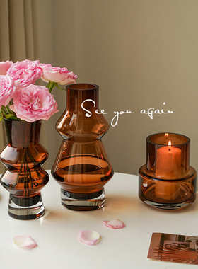 高级感ins风花瓶轻奢摆件设计感玻璃花器鲜花插花客厅桌面装饰品