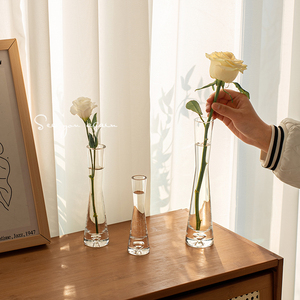 高级感迷你小花瓶玻璃透明单支细口精致客厅水培鲜花桌面宿舍摆件