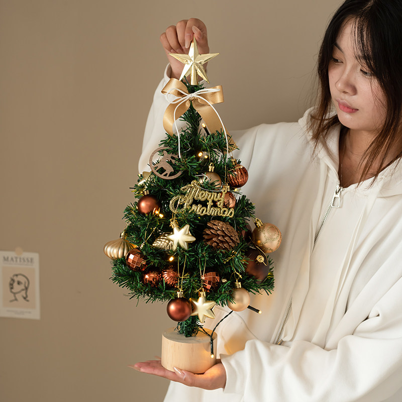圣诞树装饰家用迷你桌面高级感圣诞节发光氛围灯场景布置小型摆件