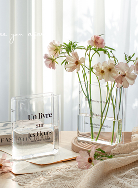 花瓶设计感小众亚克力轻奢高级感透明水养插花瓶客厅创意装饰摆件