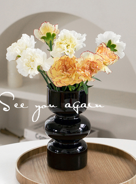 高级感北欧ins复古创意不规则居家玻璃花瓶客厅餐桌轻奢小众摆件