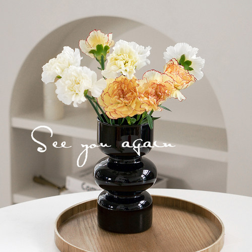 seeyou北欧ins风玻璃花瓶