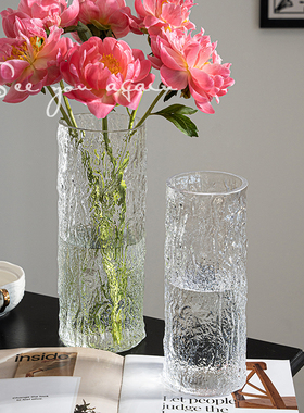 花瓶摆件客厅插花高级感透明玻璃大口径水培鲜花芍药专用餐桌装饰