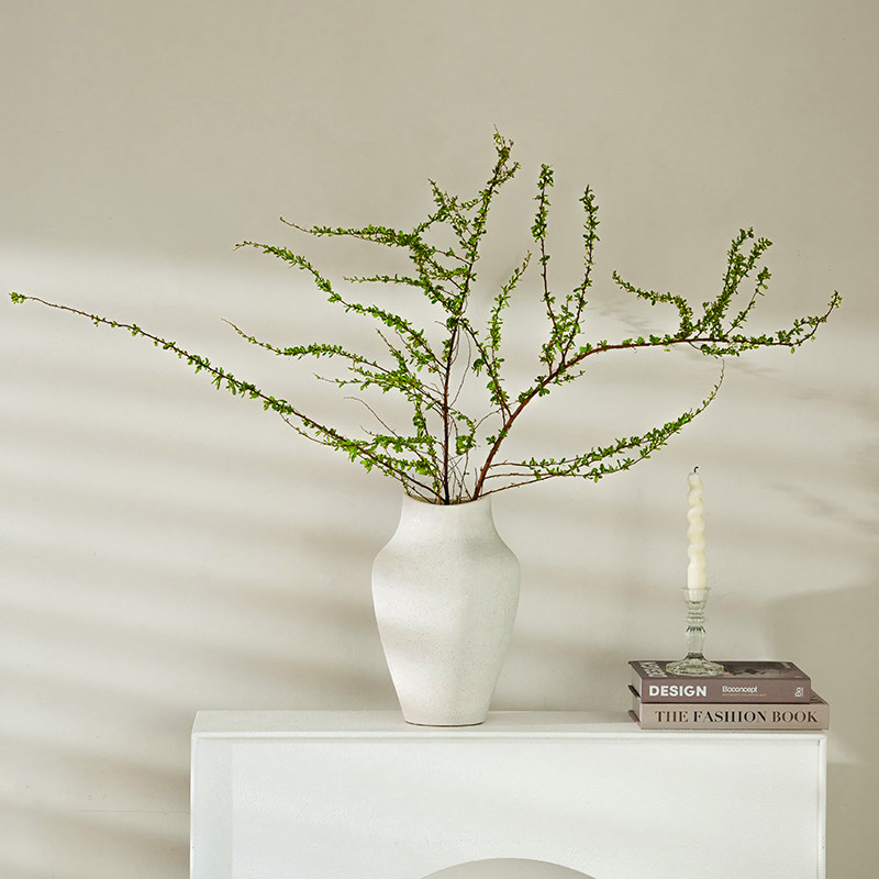 高级感陶瓷花瓶白色中古侘寂风复古客厅插花水培冬青雪柳餐桌摆件,家居饰品,花瓶,淘宝优惠券,粉丝福利购,淘宝优惠卷