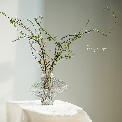 花瓶设计感小众玻璃透明轻奢高级感客厅插花雪柳干枝水养创意摆件