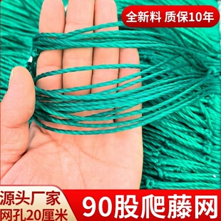 90股百香果爬藤网葡萄园网种植网大棚网园艺网瓜果网