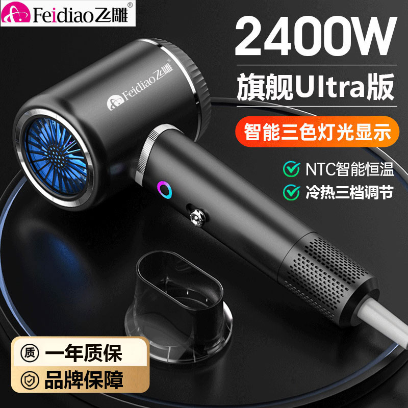 【飞雕】正品吹风机家用大功率理发店发廊蓝光电吹风冷热风不伤发