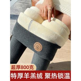 内穿大码 加绒加厚保暖裤 秋裤 棉裤 东北特厚打底裤 女款 女外穿秋冬款