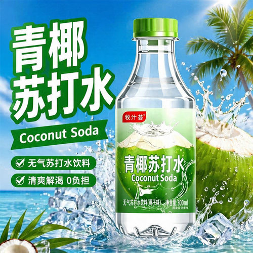 整箱24瓶青椰苏打水300ml补水