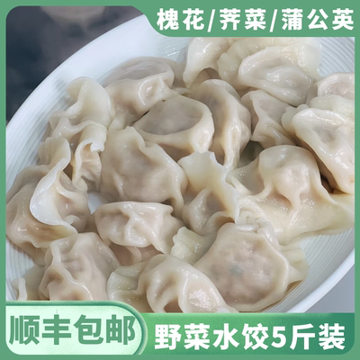 野菜水饺素馅饺子速食冷冻商用半成品槐花鸡蛋茴香蒲公英荠菜食品