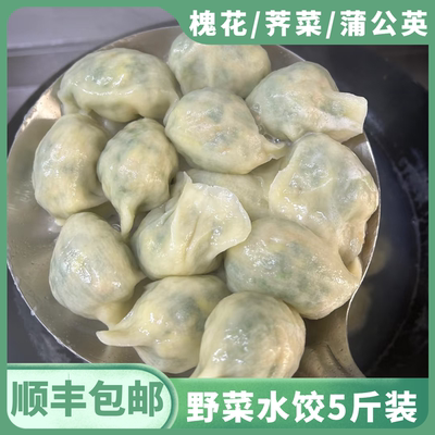 野菜水饺素馅饺子速食冷冻商用半成品槐花鸡蛋茴香蒲公英荠菜食品