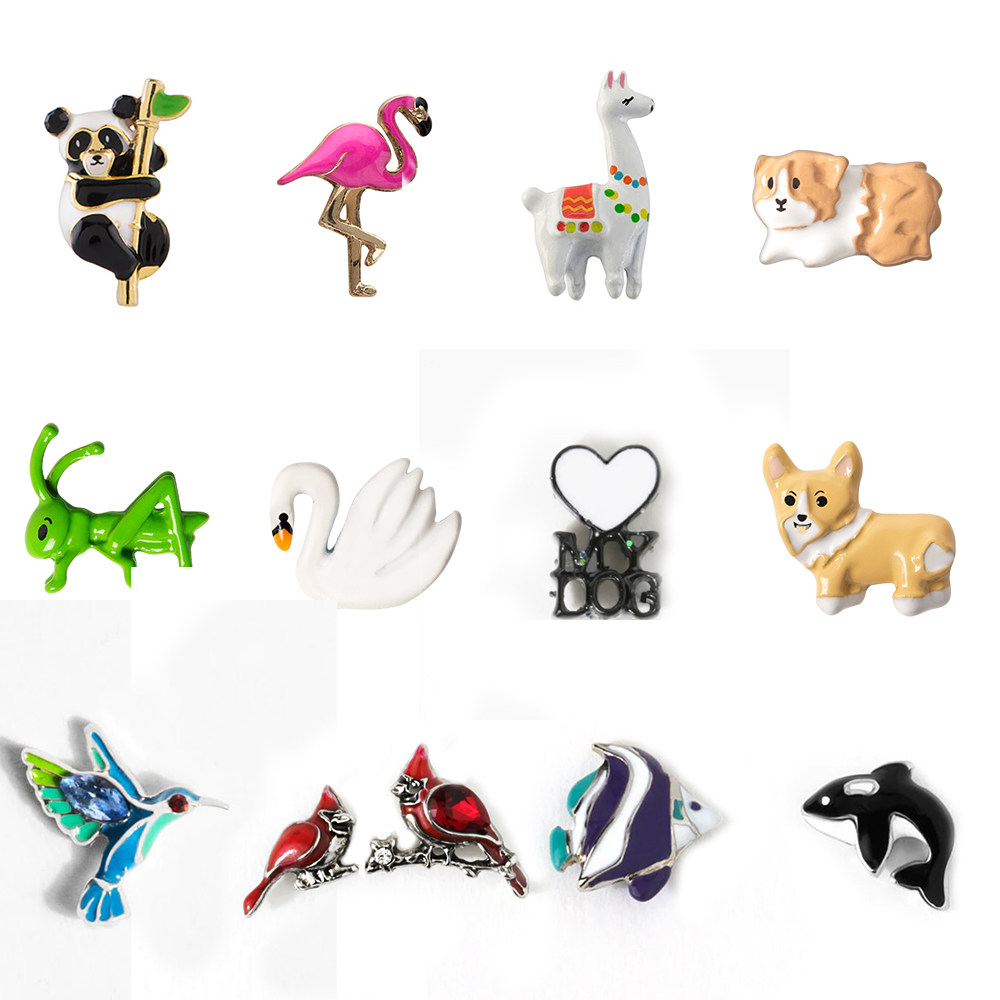 豚鼠火烈鸟蜂鸟老虎动物