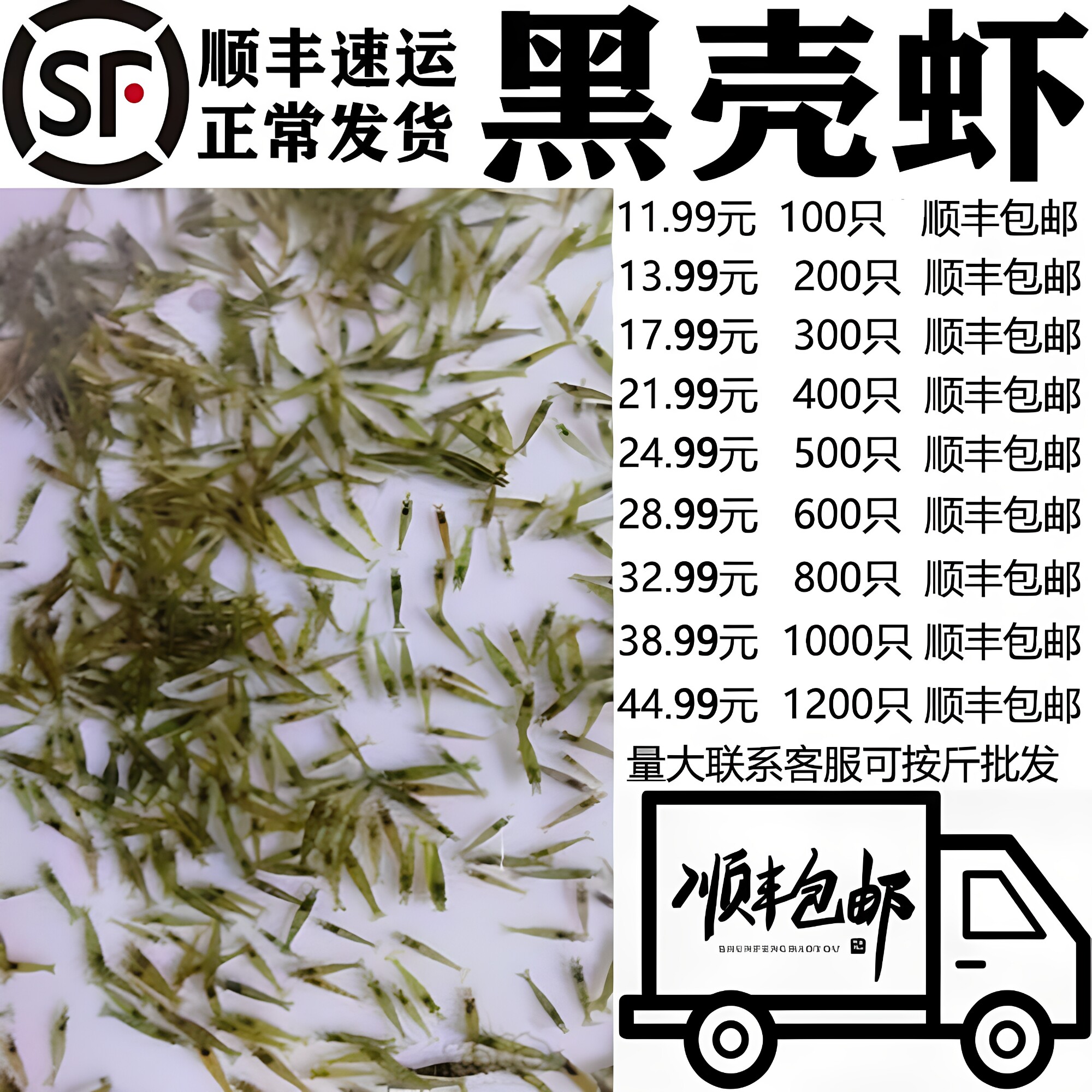 黑壳虾除藻虾观赏虾花腰顺丰包邮图片