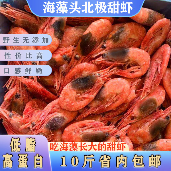 大号北极甜虾海藻头野生新虾黑头虾冰虾籽虾甜虾元宝虾净熟冻