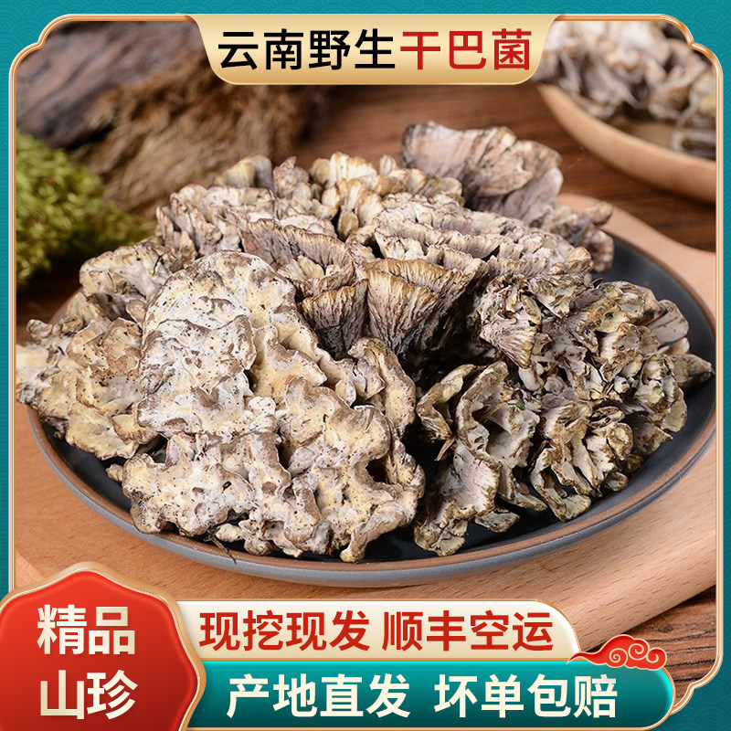 2024野生新鲜干巴菌云南昆明特产马牙菌云彩菌当季野生菌香浓味韧