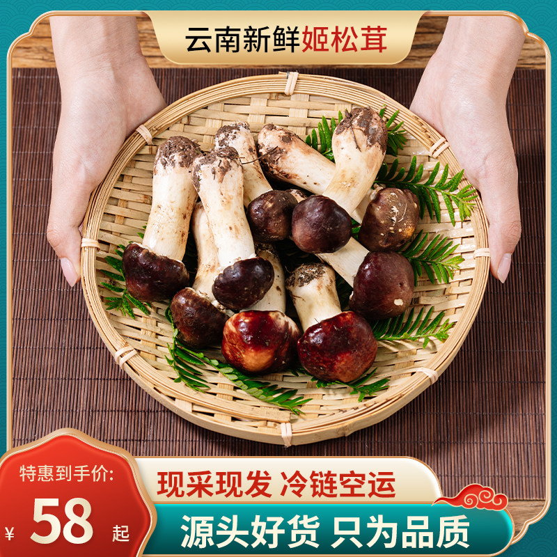 云南姬松茸新鲜赤松茸蘑菇新鲜茸菌茸菇现摘野生菌巴西蘑菇小松菇