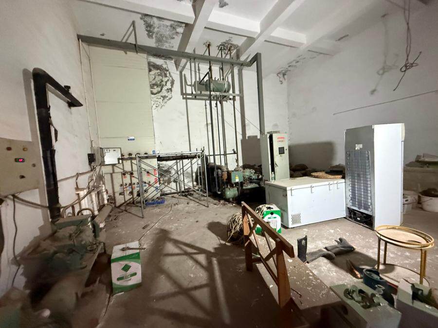 5月21日凉山市长安村一组建筑物、构筑物、机器设备、树木及土地使用权网络拍卖公告