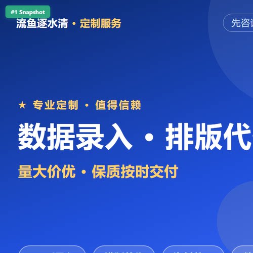 手工录入数据录入文字排版打字代做表格整理信息录入