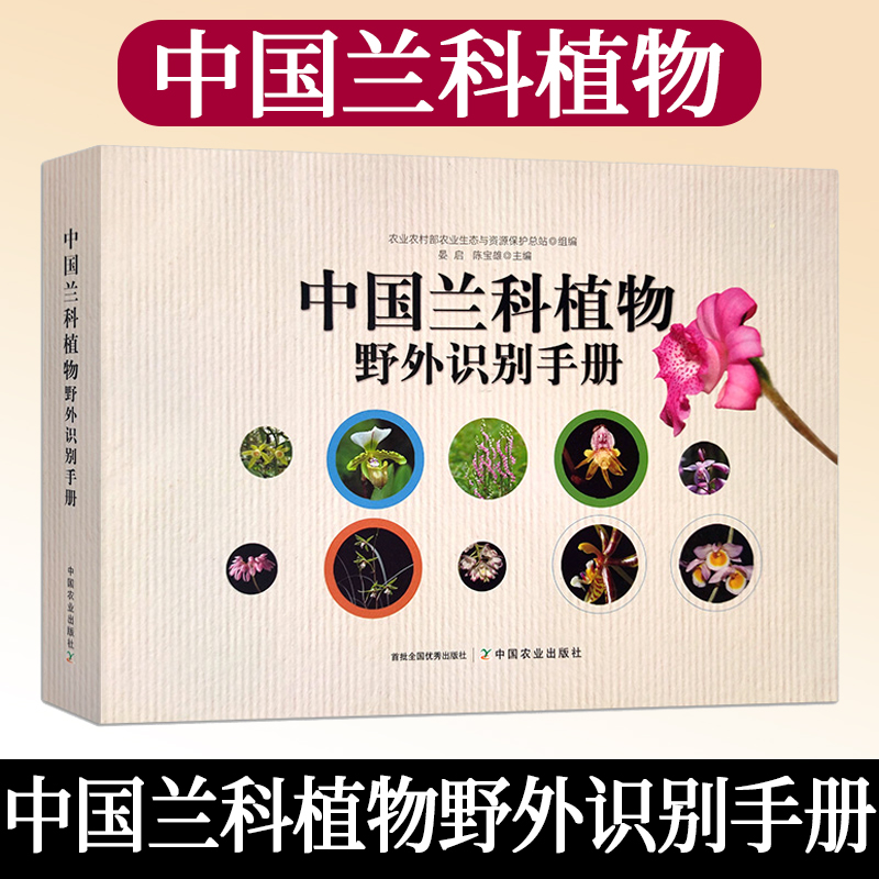 中国兰科植物野外识别手册 晏启 陈宝雄 兰科植物识别 兰花彩色图鉴兰科植物形态术 中国兰科植物分类检索 兰花野外识别手册