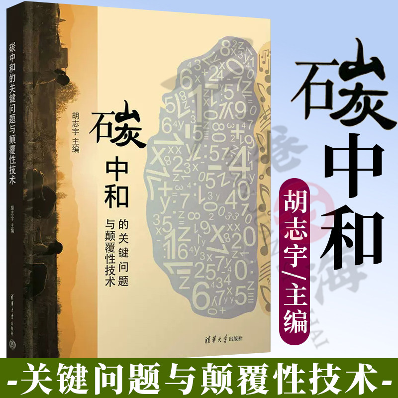 正版新书 碳中和的关键问题与颠覆性技术 胡志宇主编 清华大学出版社 碳排放节能减排 二氧化碳排路径系统转型 能源生产消费管理