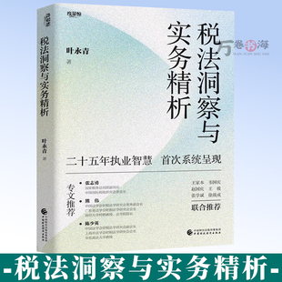税法洞察与实务精析 叶永青 中国财政经济出版社 税法原理深度解读 企业重组税制疑难解析税务律师纳税企业税务疑难问题实务指南