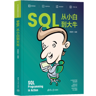 【2023新书】SQL从小白到大牛 关东升 SQL入门基础教程书籍sql数据库入门 sql安装sql语句编程 清华大学出版社 9787302626534