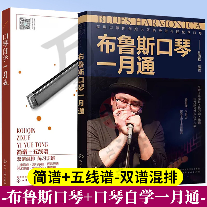 口琴自学一月通 简谱五线谱版 24孔口琴自学入门基础练习曲教程书+布鲁斯口琴一月通 张晓松 布鲁斯口琴演奏技巧基础入门教程