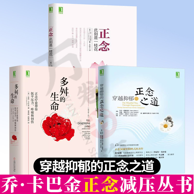 正念此刻是一枝花穿越抑郁