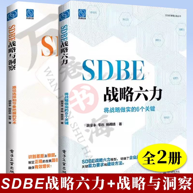 2册 SDBE战略六力 将战略做实的6个关键+SDBE战略与洞察 路径选择和节奏把握的艺术 胡荣丰 发展破局生存企业战略规划方法落地书籍