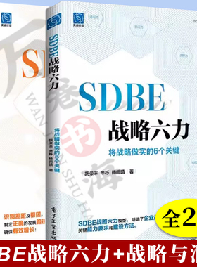2册 SDBE战略六力 将战略做实的6个关键+SDBE战略与洞察 路径选择和节奏把握的艺术 胡荣丰 发展破局生存企业战略规划方法落地书籍