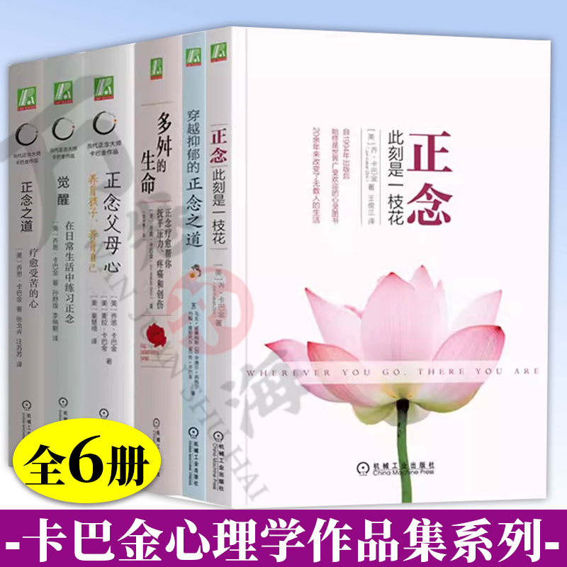 乔卡巴金正念减压书籍全6册 正念+多舛的生命+穿越抑郁的正念之道+正念父母心+觉醒+正念之道 正念减压心灵疗愈心理学书籍