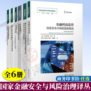 6册国家金融安全与风险治理译丛金融科技监管大数据和区块链数字时代的金融生态系统和战略国家风险数字时代审计生态系统战略会计