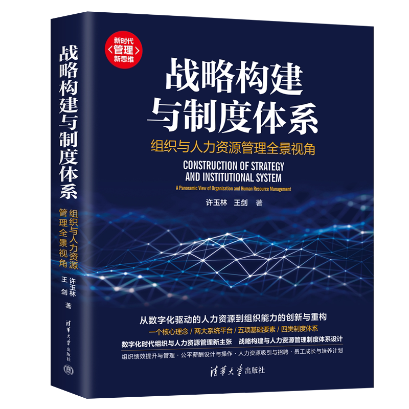 2023新书 战略构建与制度体系 组织与人力资源管理全景视角 许玉林 王剑 人力资源管理制度体系设计 组织绩效提升书 9787302625292