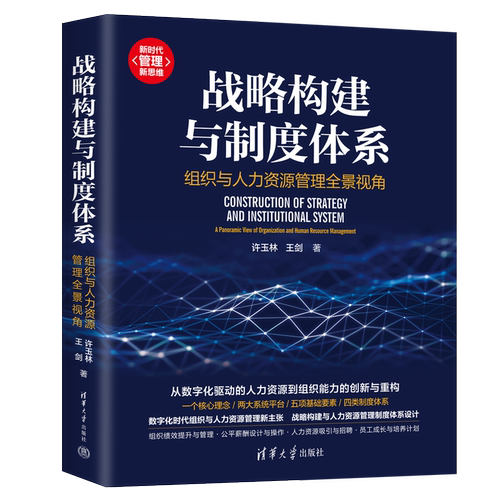 2023新书 战略构建与制度体系 组织与人力资源管理全景视角 许玉林 王剑 人力资源管理制度体系设计 组织绩效提升书 9787302625292