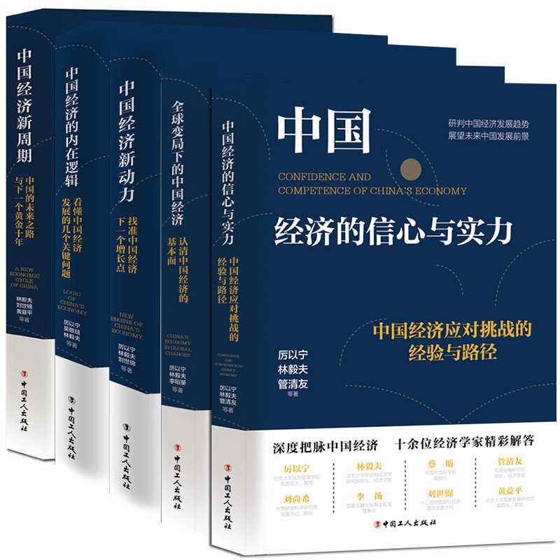 中国经济理论套装书5册 看懂中国经济发展+未来之路与下一个黄金十年+找准中国经济下一个增长点+应对挑战的经验与路+经济的基本面