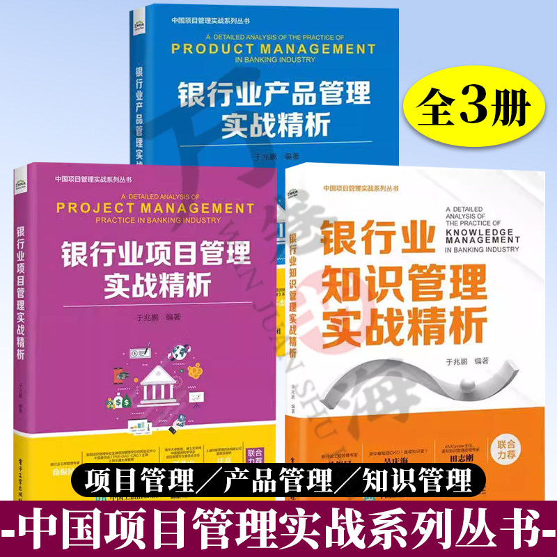 项目管理实战系列丛书全3册