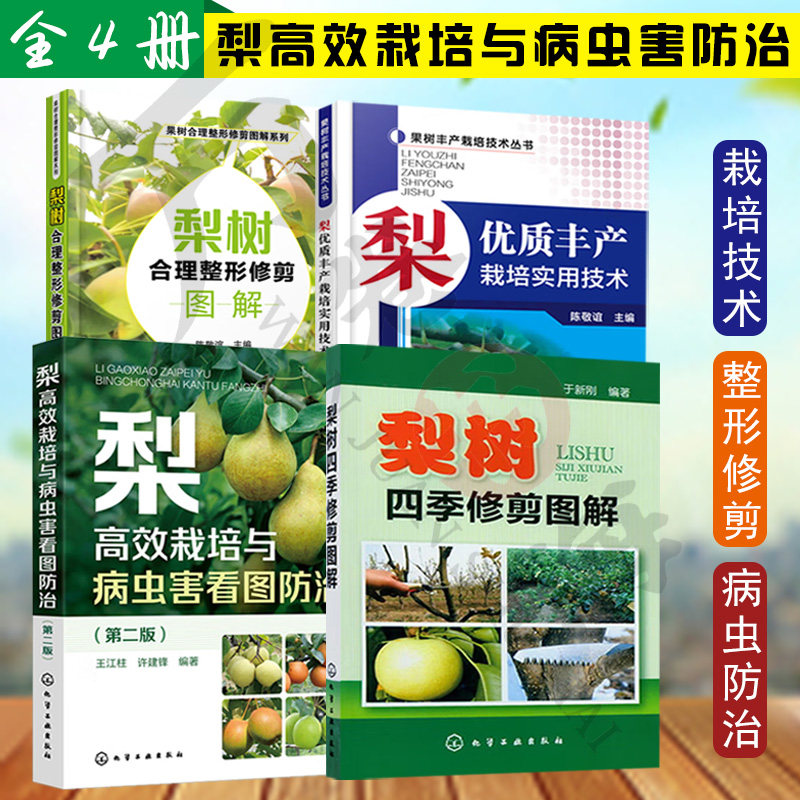 梨优质丰产栽培实用技术+梨树四季修剪图解 +梨树合理整形修剪图解+梨高效栽培与病虫害看图防治 梨高效栽培与病虫害防治 全4册