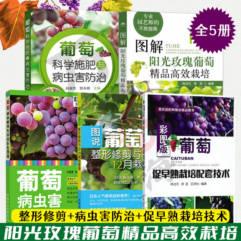 阳光玫瑰葡萄精品高效栽培
