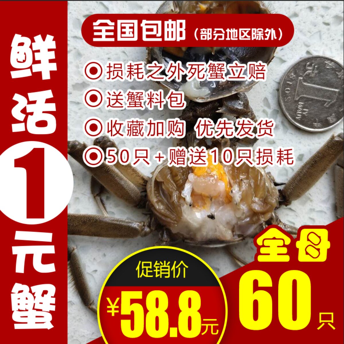 全母40只盘锦河蟹鲜活1一元蟹老头蟹醉蟹稻田蟹六月黄香辣蟹活蟹
